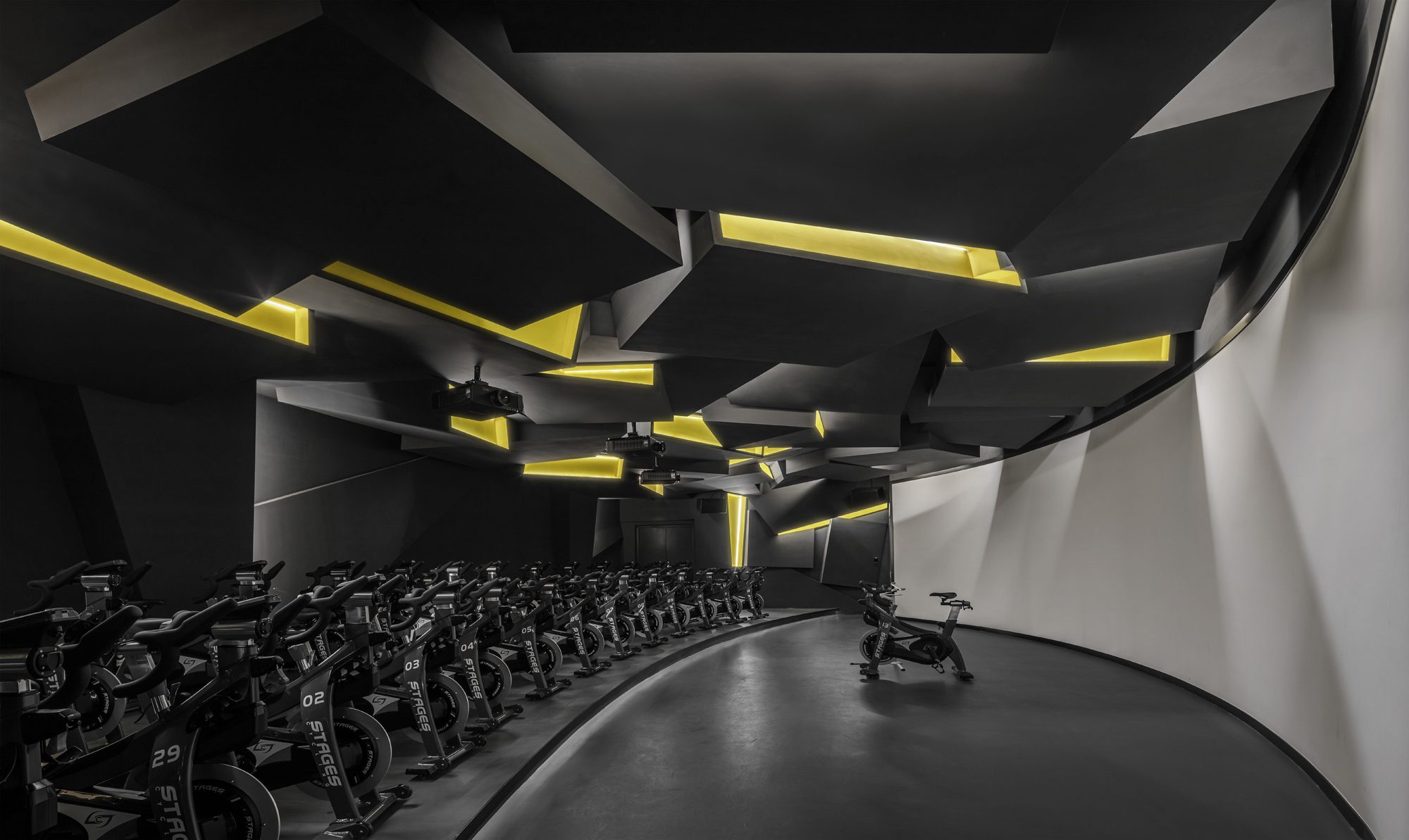 Fusion Fitness Q-Plex Premium Club