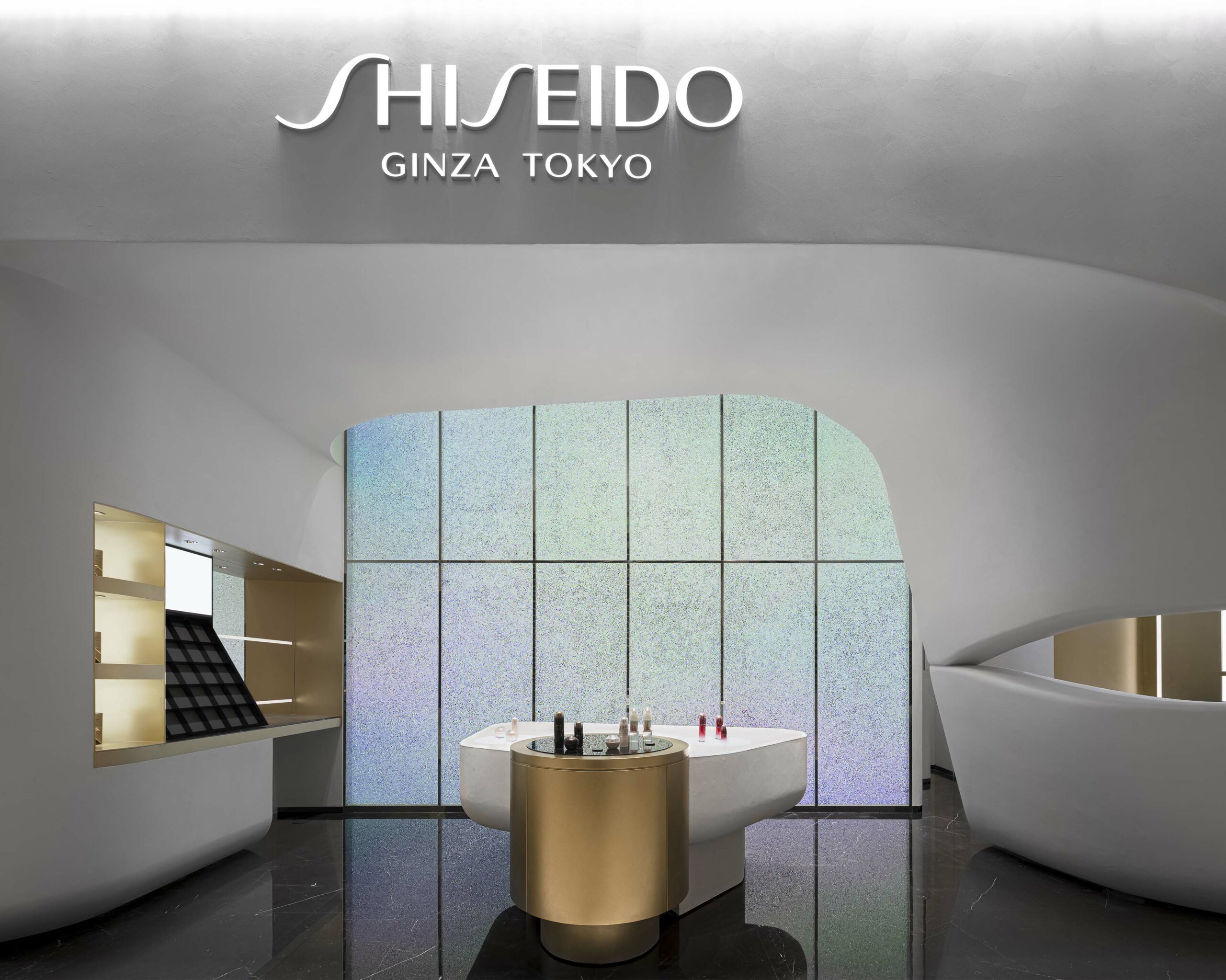 Shiseido Future Solution LX