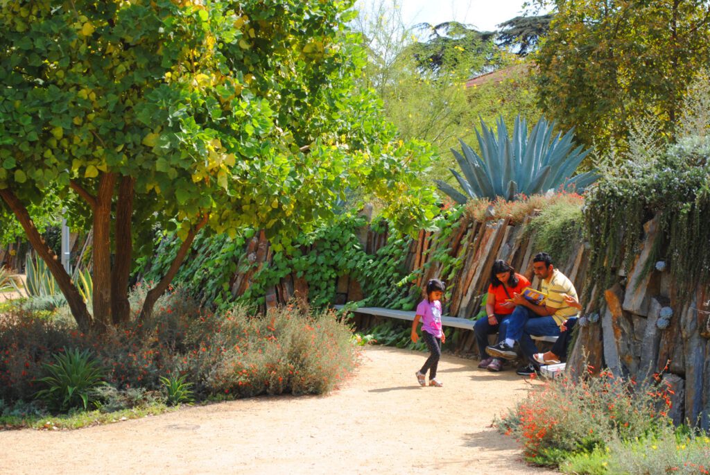 A natural landscape with trees and various grasses and plants at the Natural History Museum of L.A.