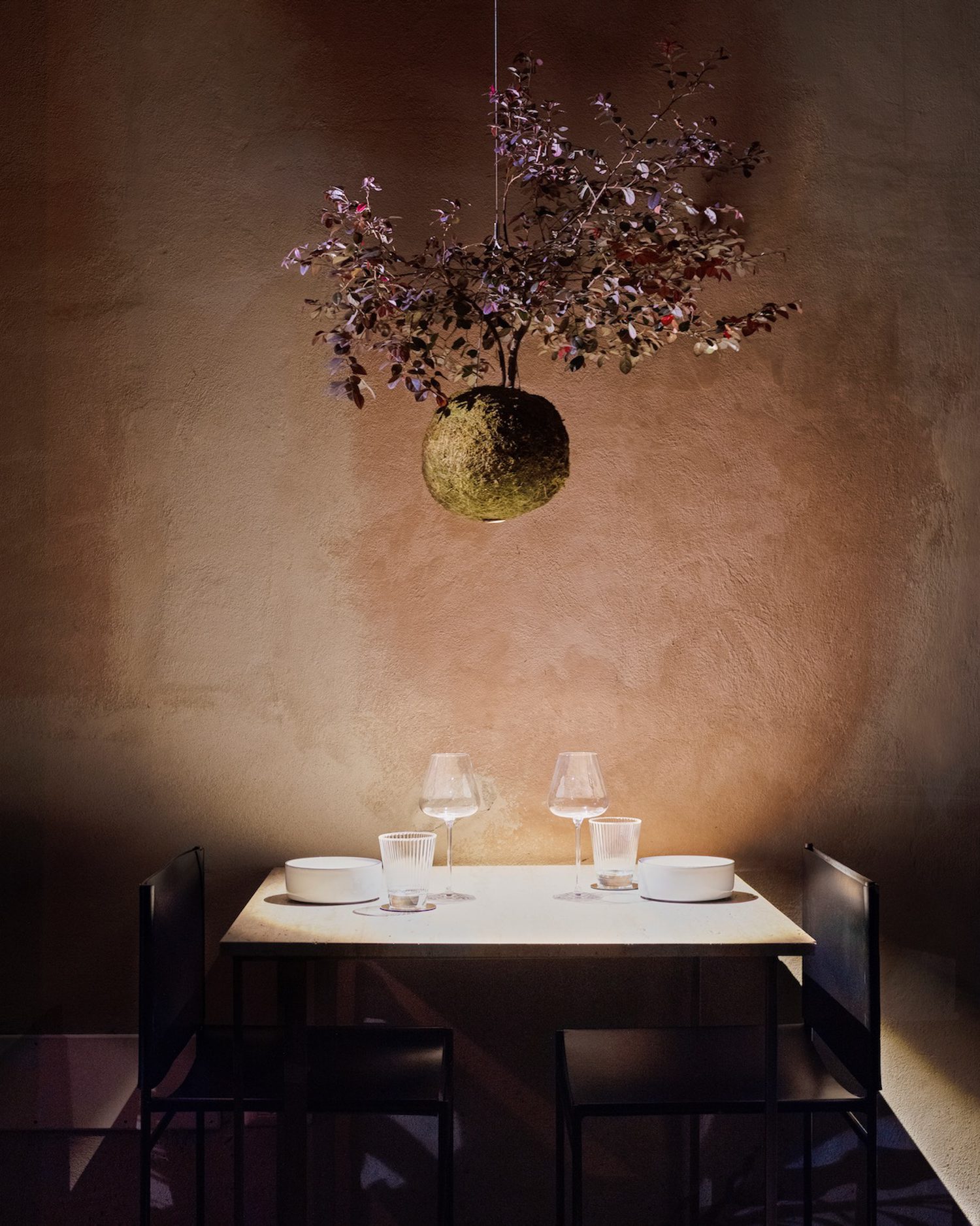 With the living pendant light, the design studio aims to draw nature into an urban landscape.