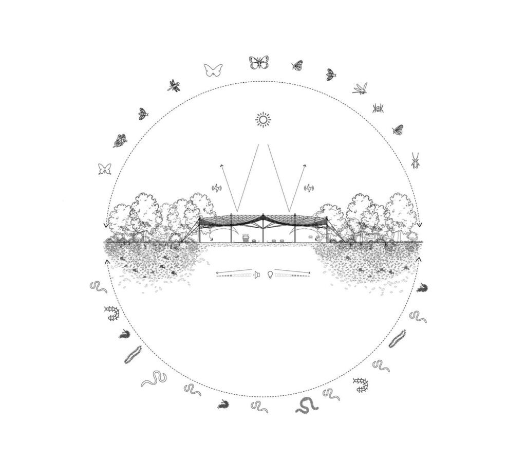 Gross’s Butterfly Effect section drawing, which looks beyond humans to consider how civic infrastructure can serve a full range of different species. Courtesy of VenhoevenCS.