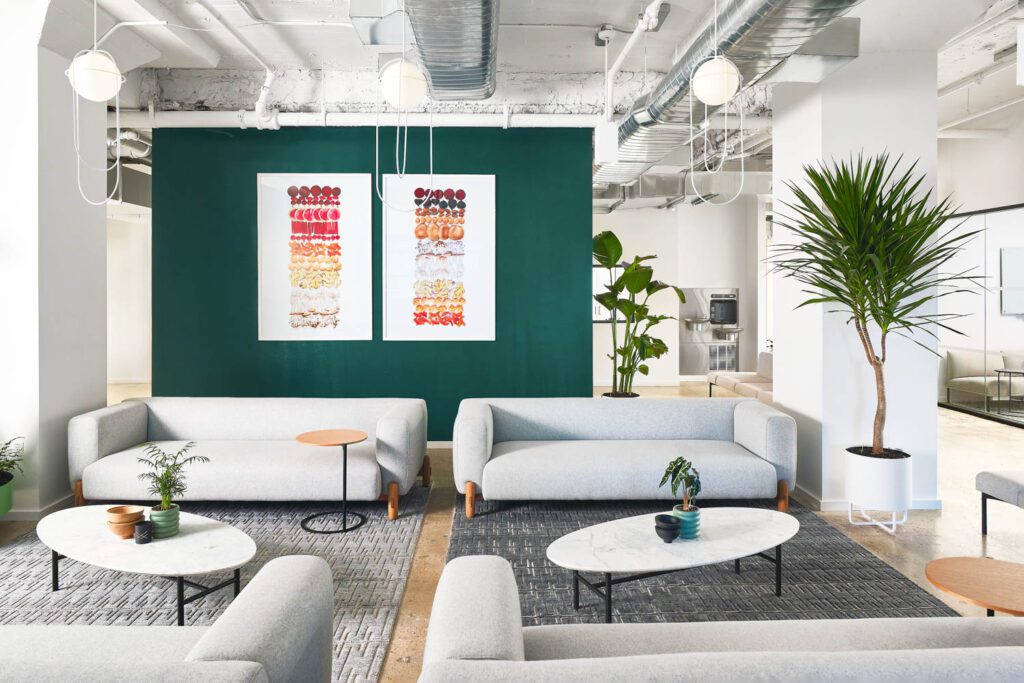 Two grey sofas outline a seating area in front a dark green wall at Daily Harvest