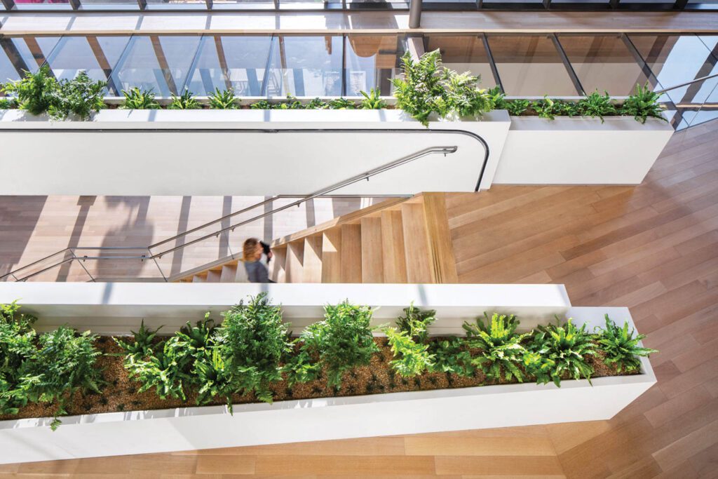 Stairways with live plants rise throughout the atrium