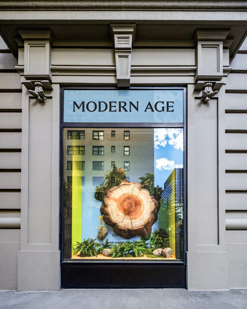 Modern Age, New York City, tree window display