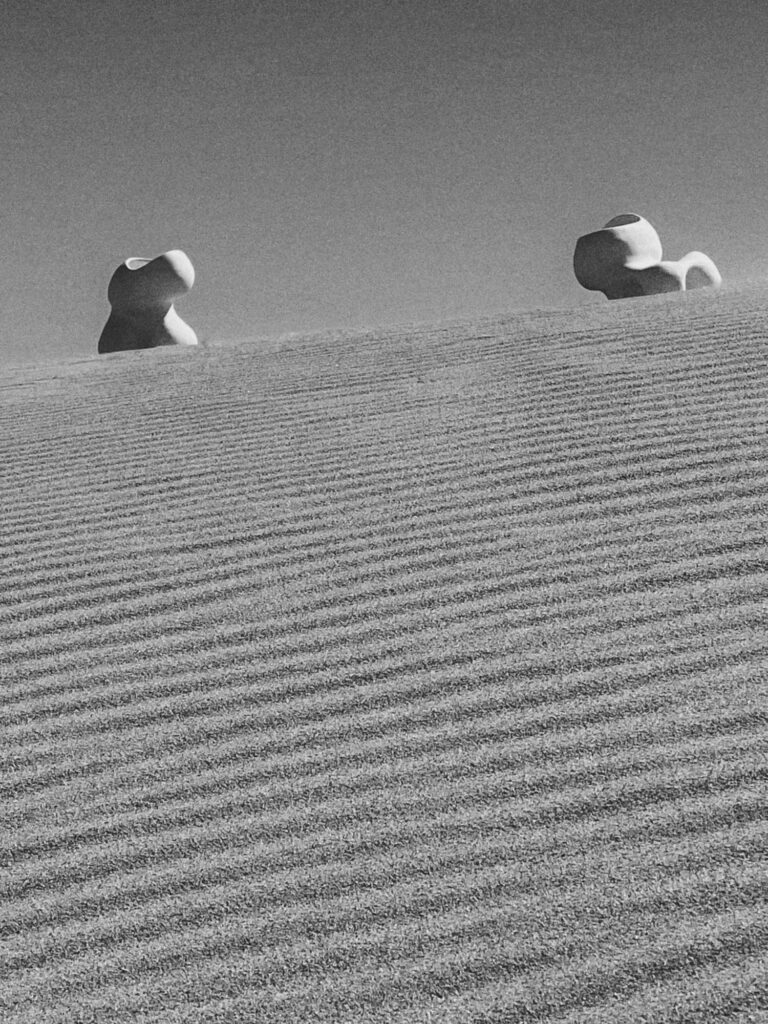 The sculptures sitting on Uruguayan desert.