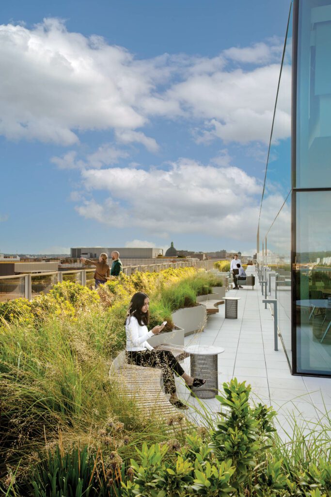 On the concrete-paver roof terrace, Fuse planters landscaped with prairie dropseed and alumroot incorporate bench seating.