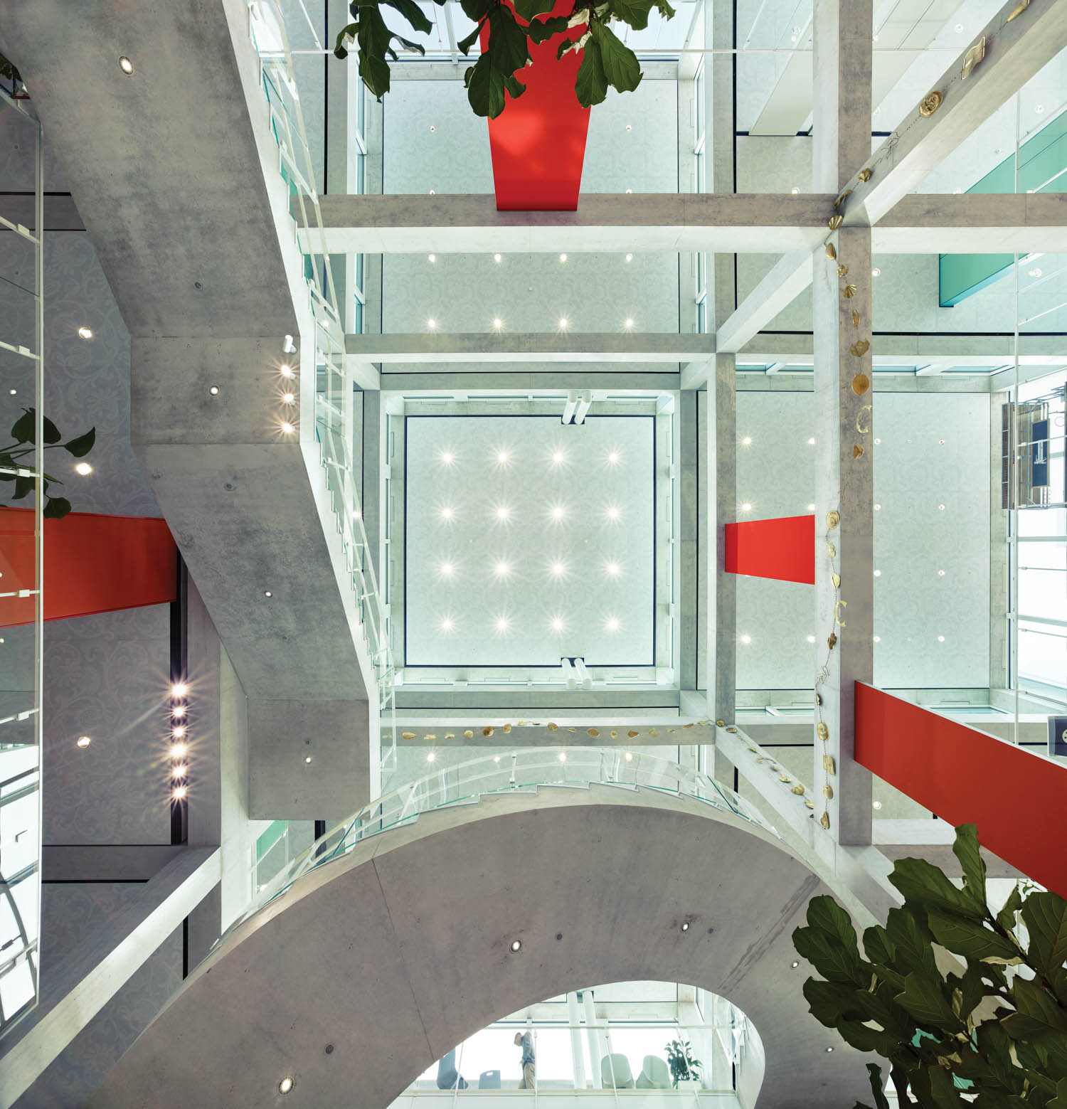 looking up into the skylight of the HSG Learning Center SQUARE