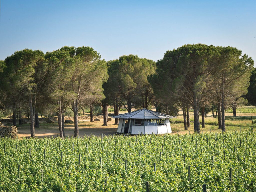 Marabout, French for large conical tent, at Terra Remota.