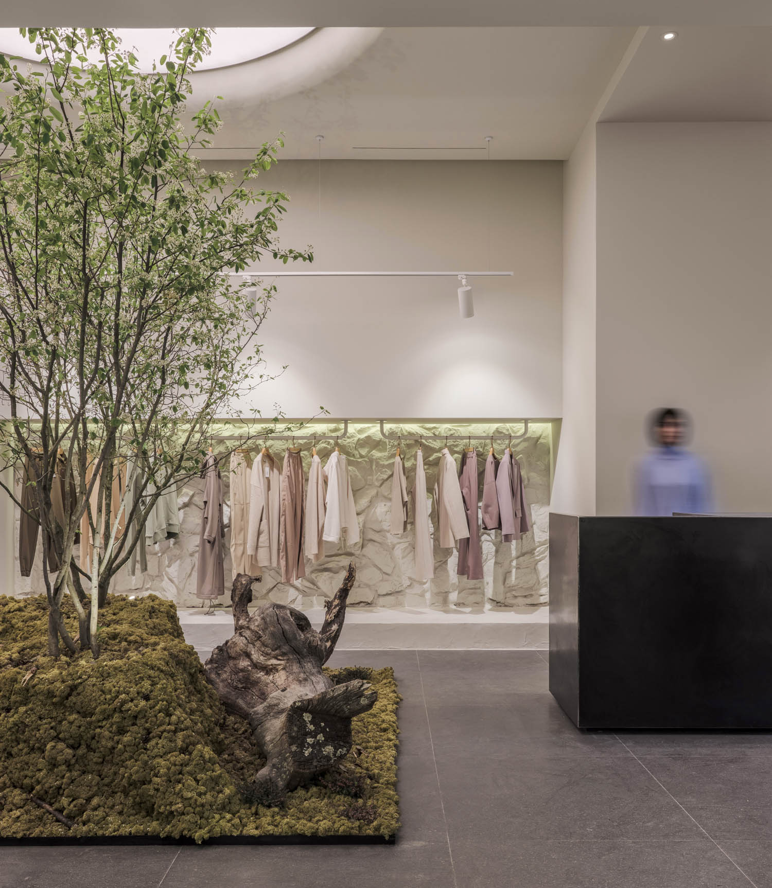 A retail store interior design with a tree at the center