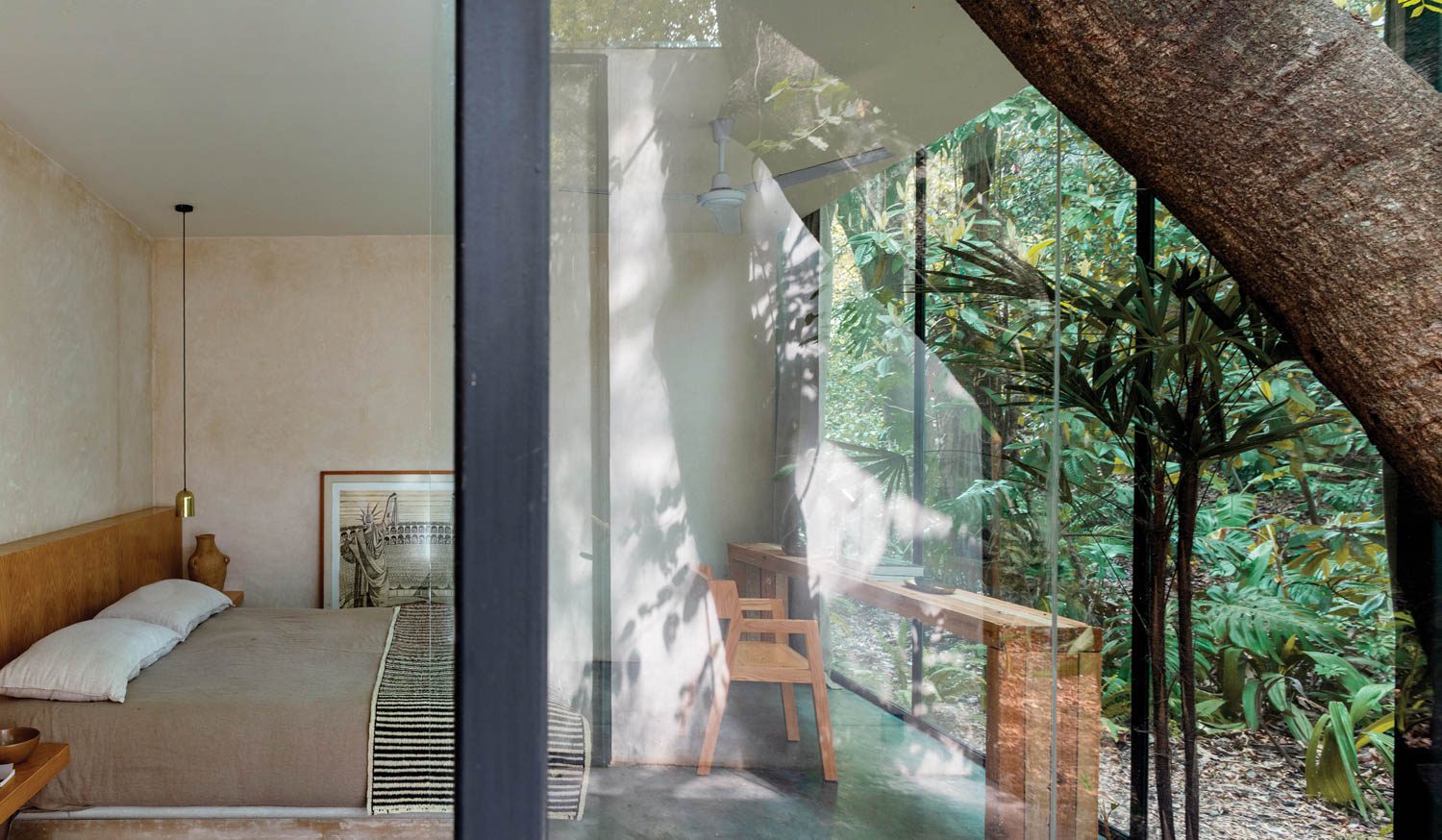 the bedroom looks out onto a tree canopy