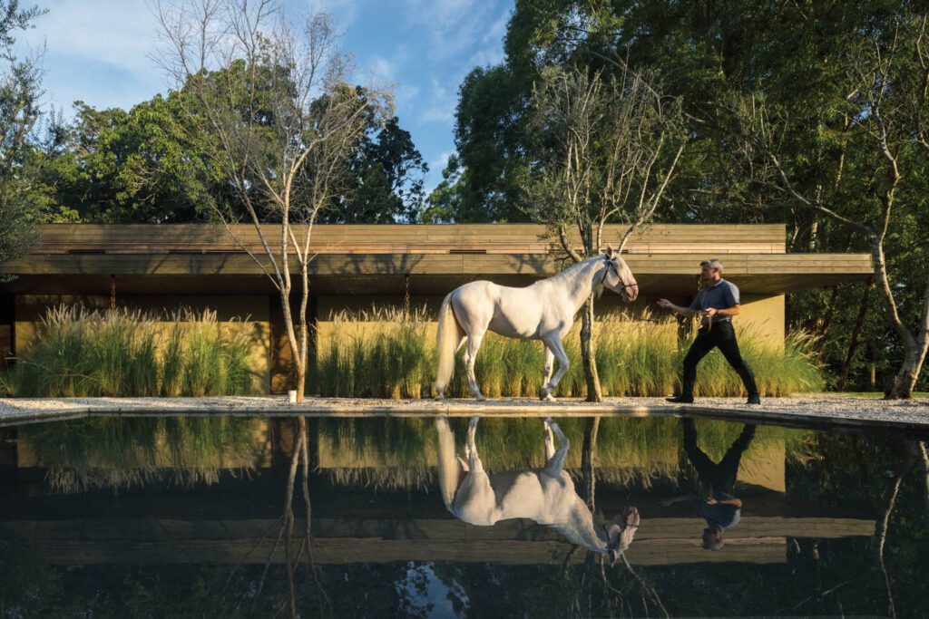 A groom leads a Lusitano past the guesthouse, one of the two new structures that comprise the entertainment and accommodations complex.