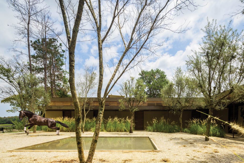 The 14-suite guesthouse is arranged around a gravel patio that’s planted with trees and grasses and has a reflecting pool at its center.