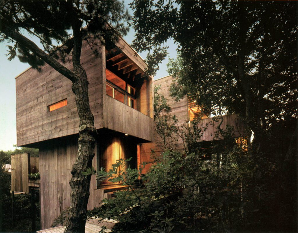 A residence in Fire Island made from fresh cut wood in the form of a tree house.