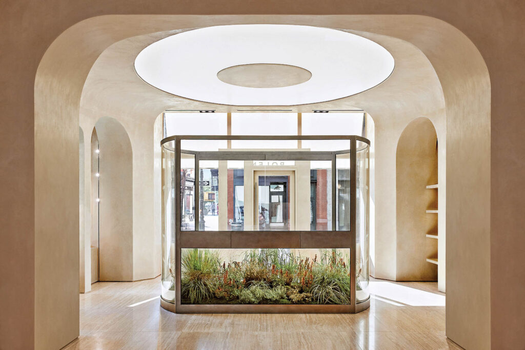 greenery under a circular light inside Polène