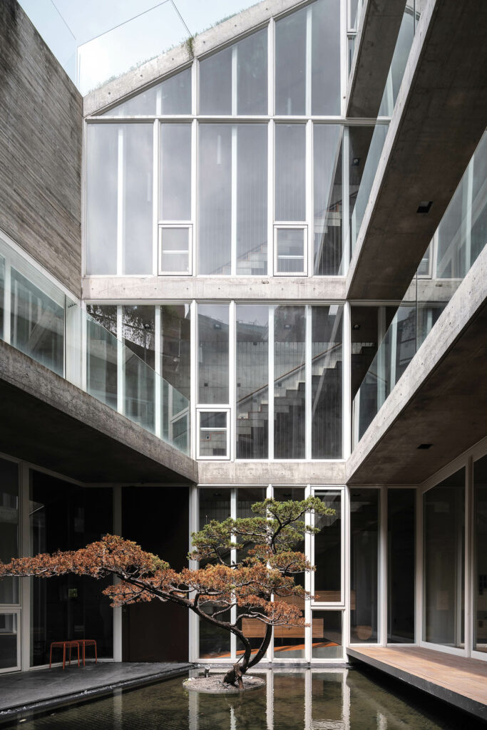 a sculptural pine tree in a koi pond at the center of a home's courtyard