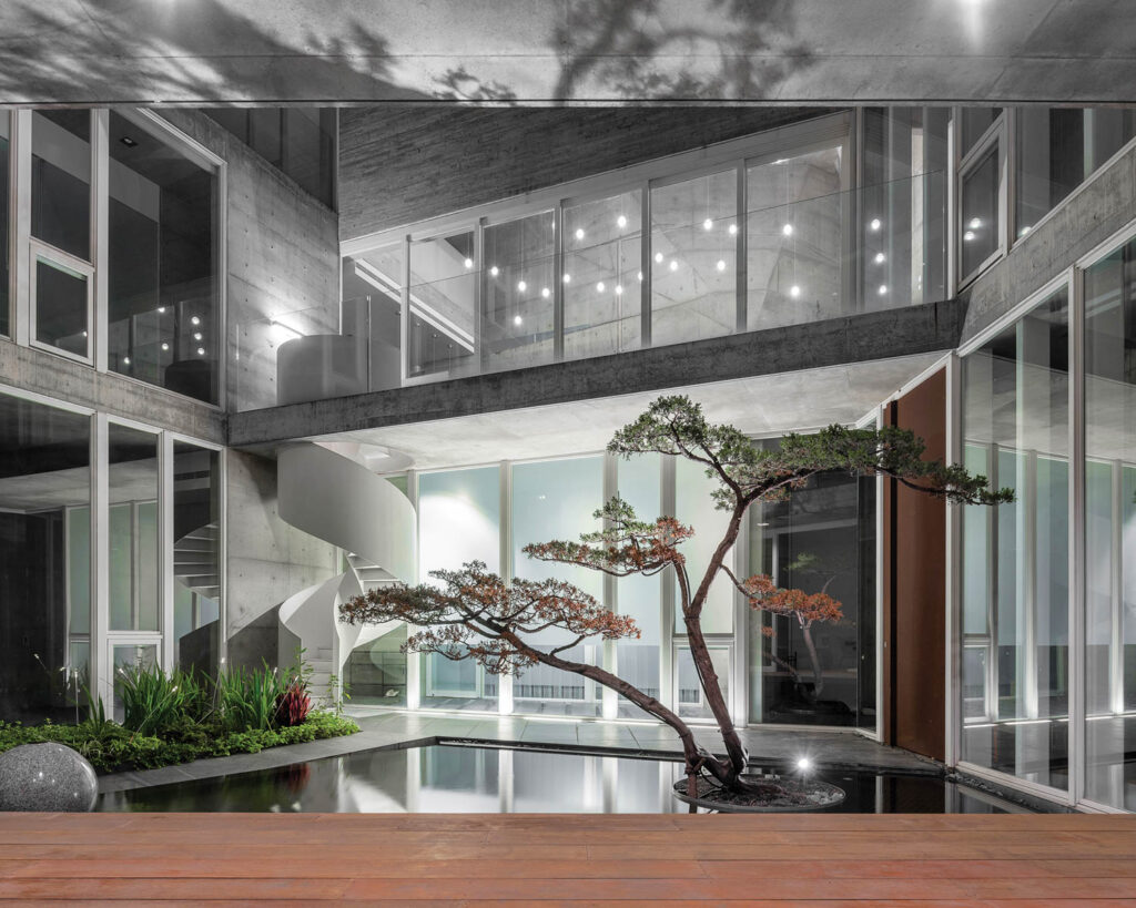 a sculptural pine tree sits in a koi pond in a home with a concrete exterior lit up at night