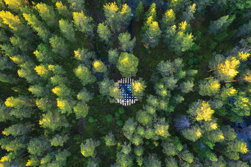 an aerial view of boutique hotel in the middle of a forest