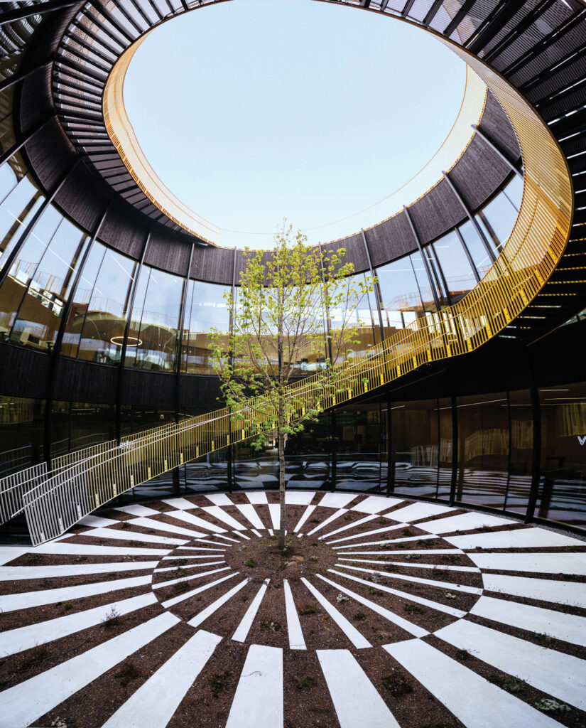 a spiral staircase is seen looping around a maze like path to single tree