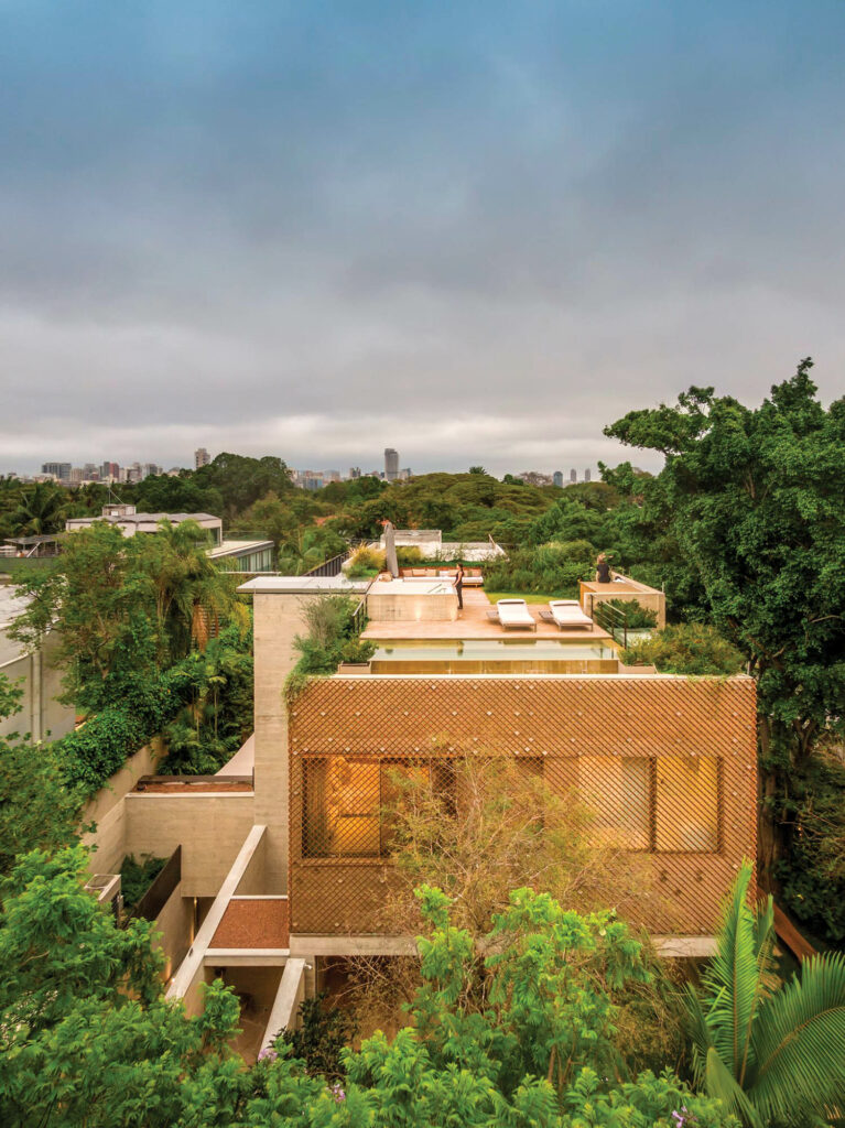 The modernist home includes a rooftop terrace with cream lounge chairs by a lap pool surrounded by leafy trees. 