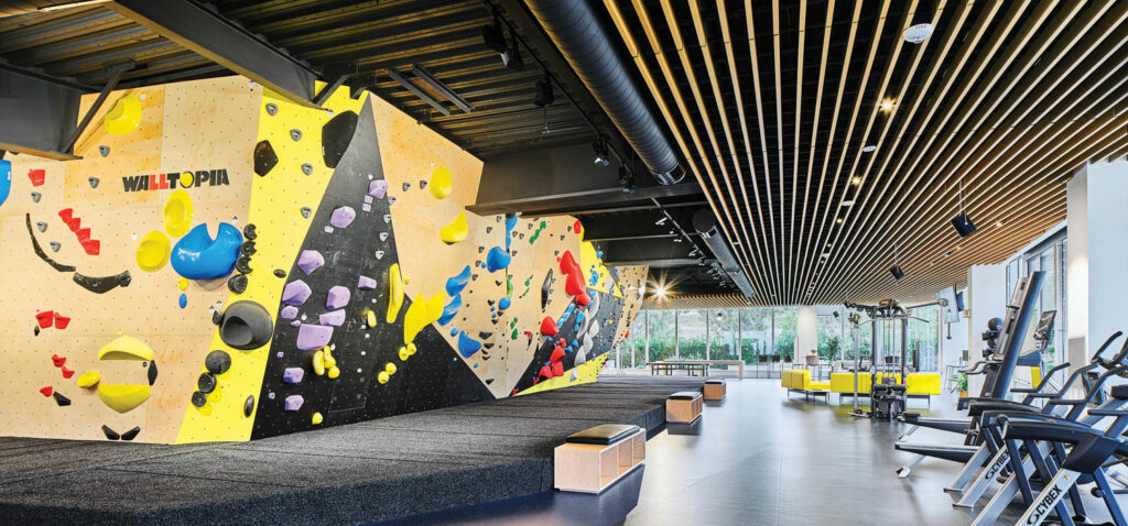 a bouldering wall under a hemlock-slat ceiling