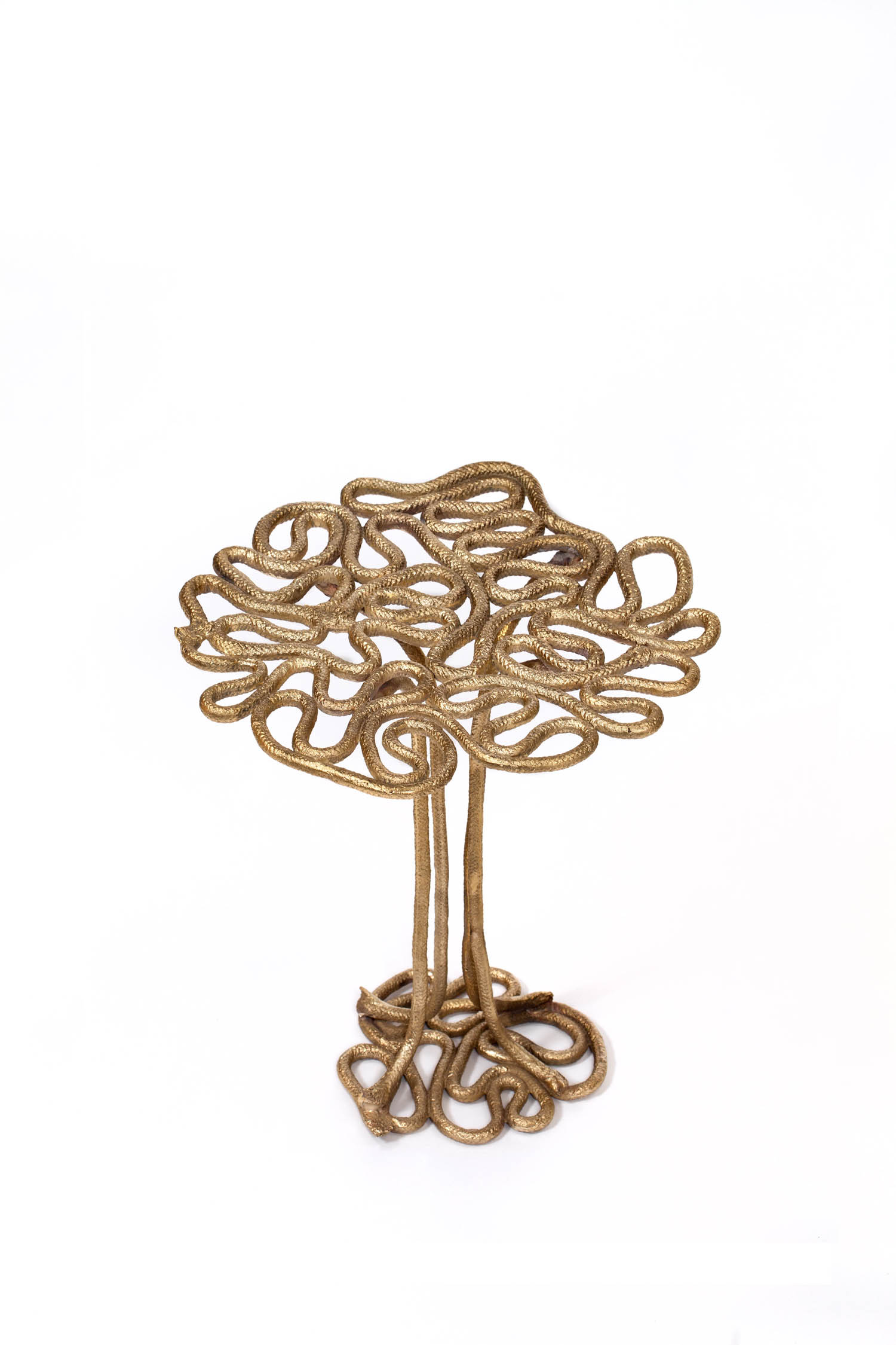 The Campana Brothers – Design 55