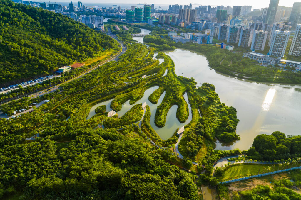 A landscape view of green space in New York City