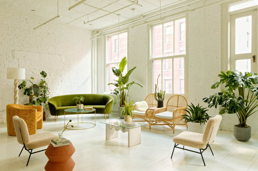 Light fills a common area in the Sakara New York office