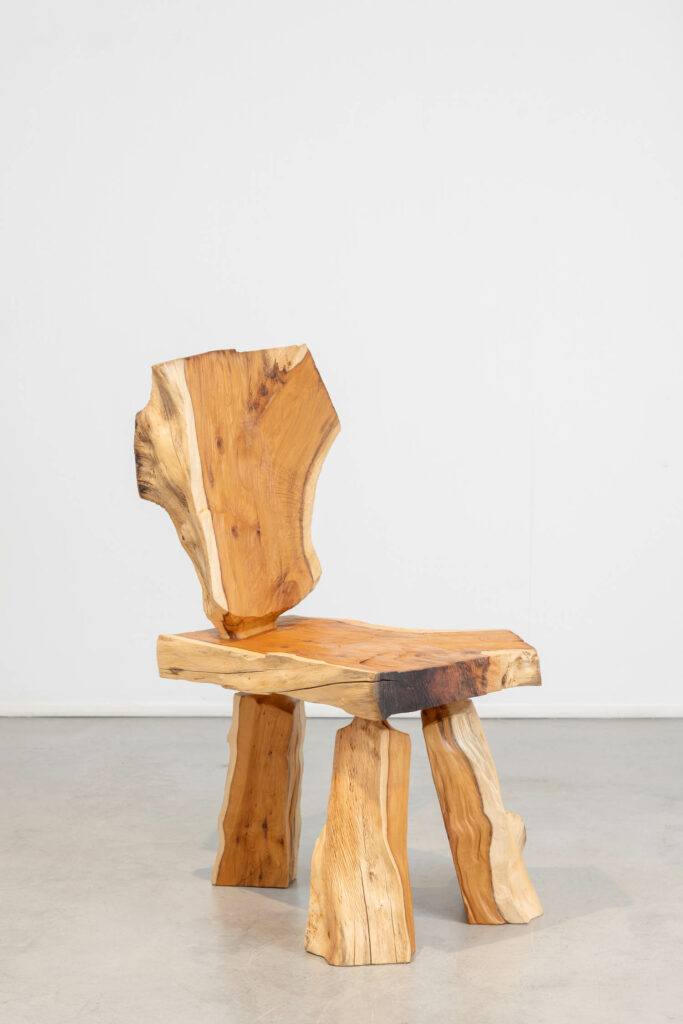 A wooden chair in biomorphic forms