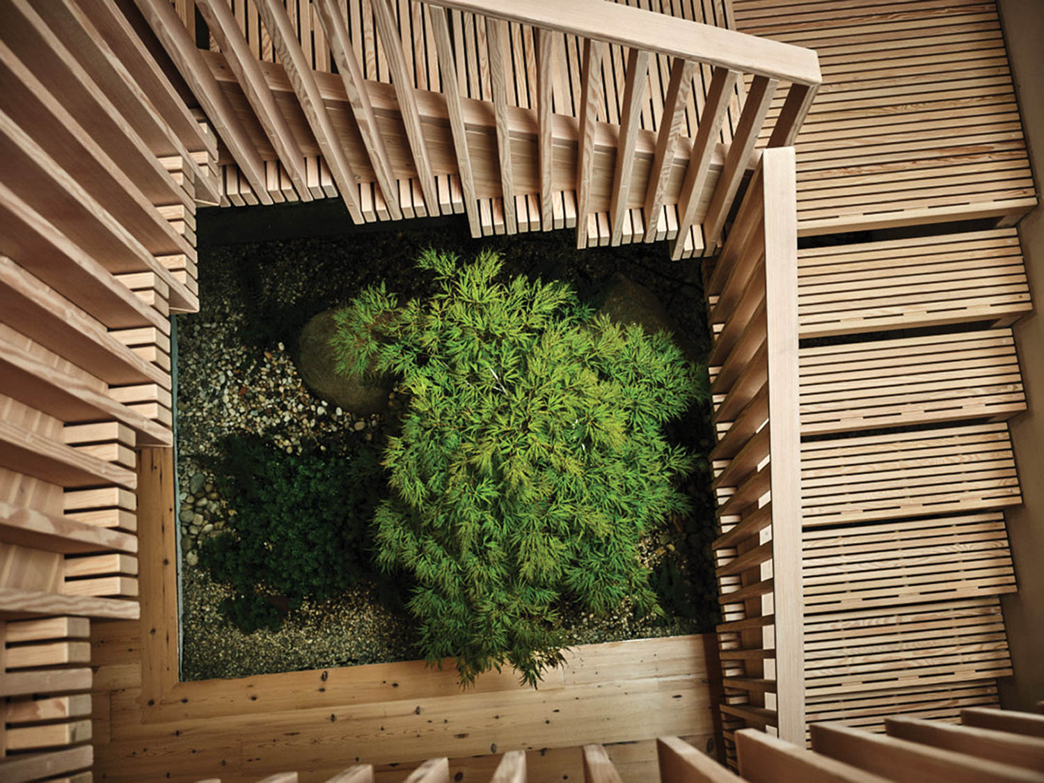 a tree in the courtyard surrounded by a winding wood staircase