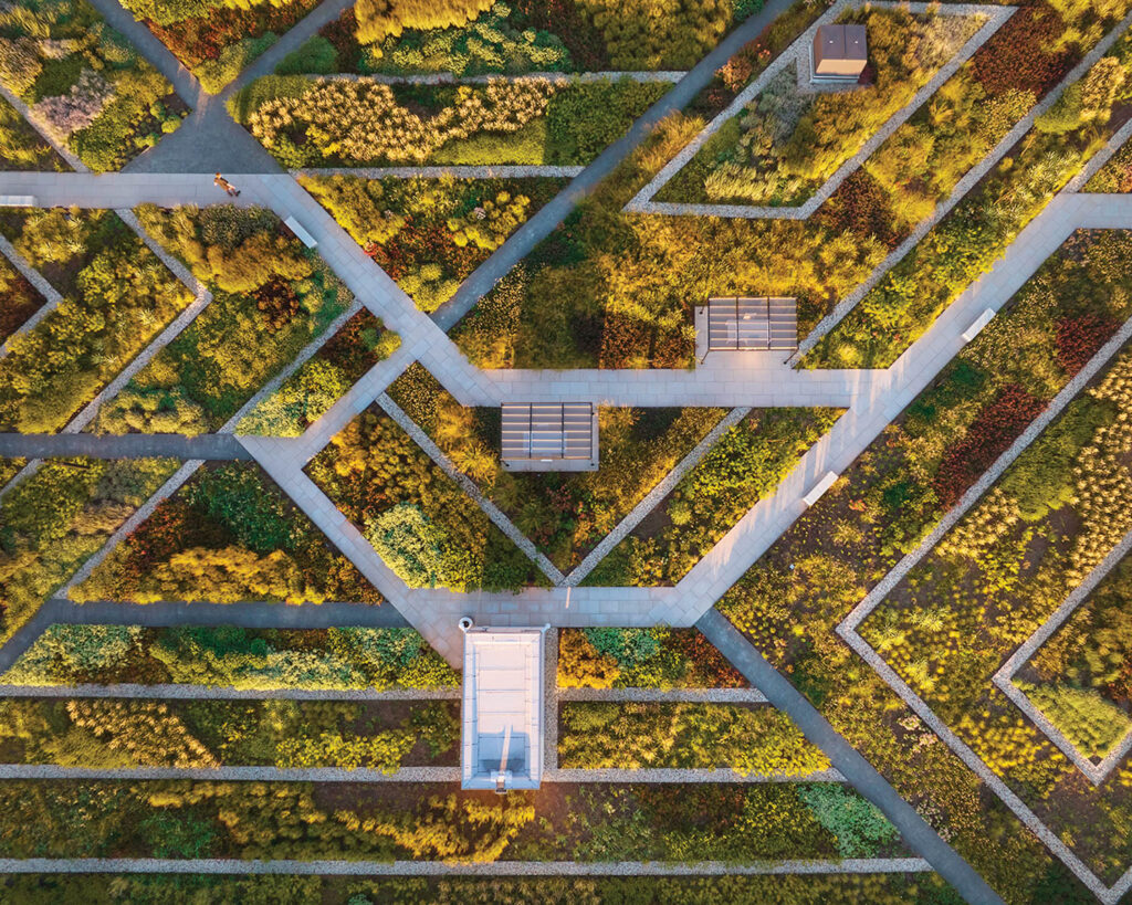 an overhead view of the rooftop meadow