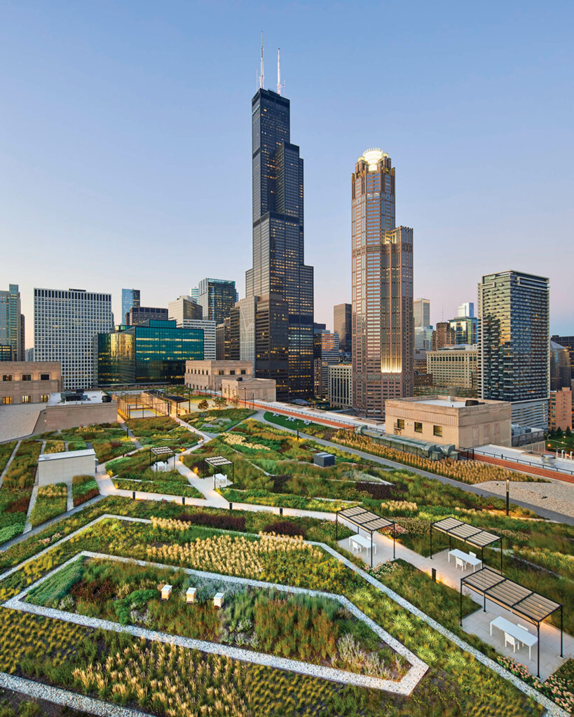 the chicago skyline from the roof of the old post office