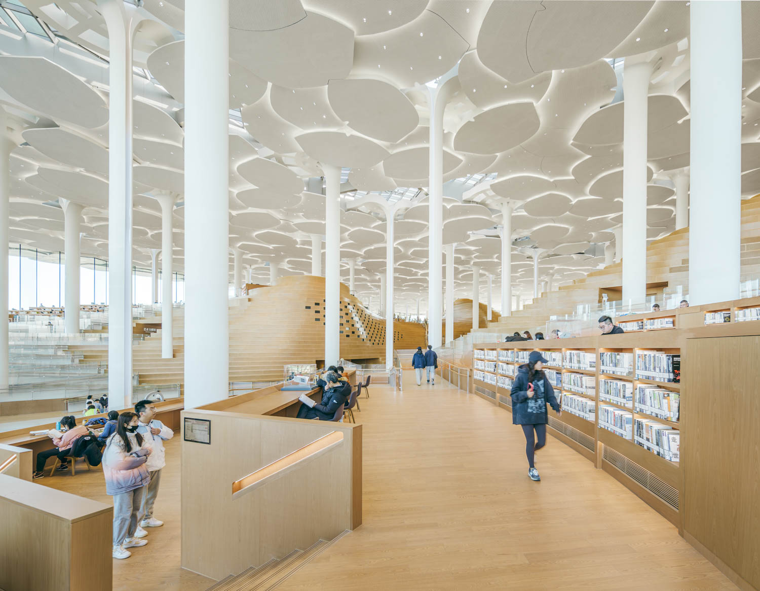 library with lots of white columns and bookshelves