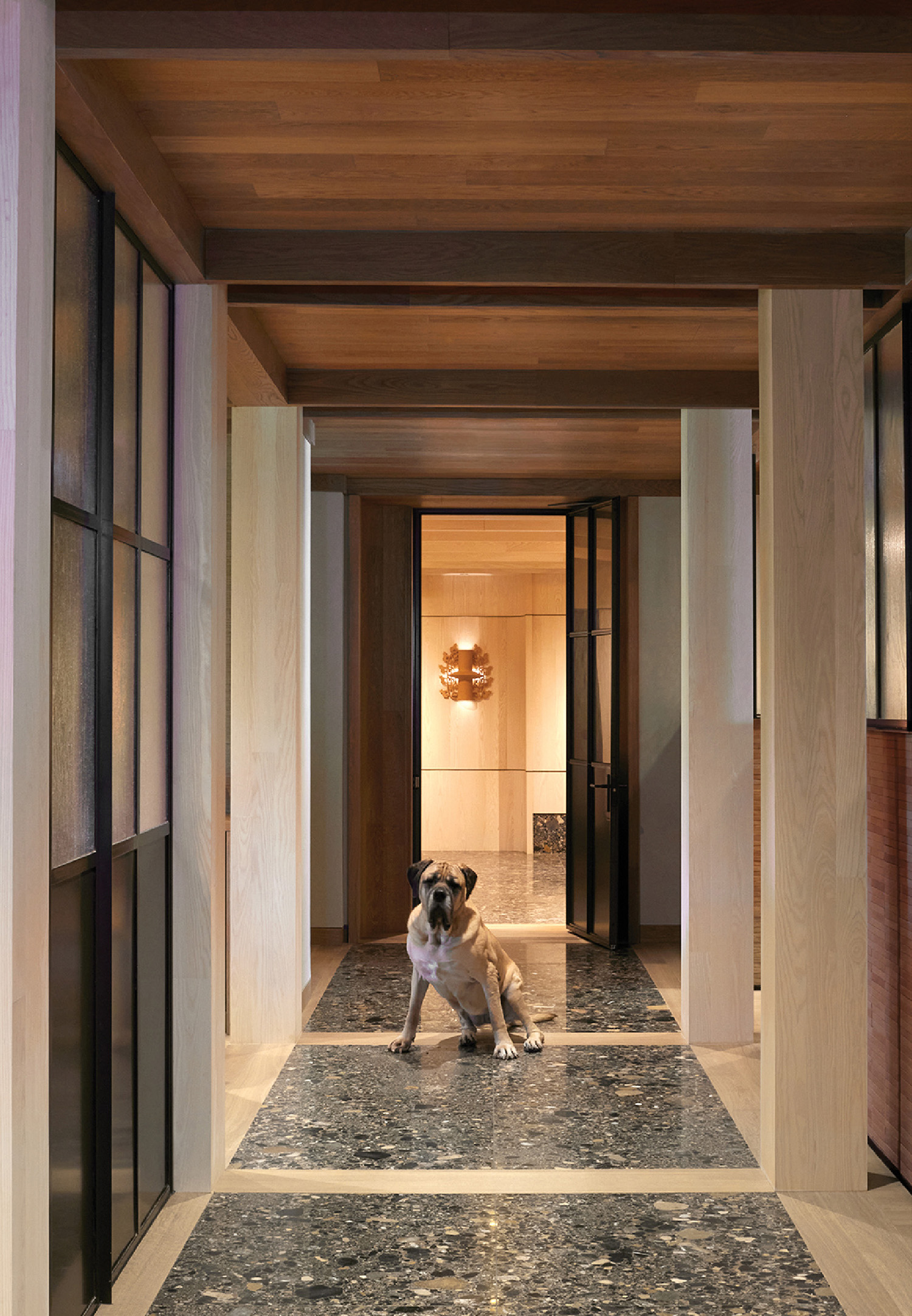 A dog sitting on the floor in a hallway