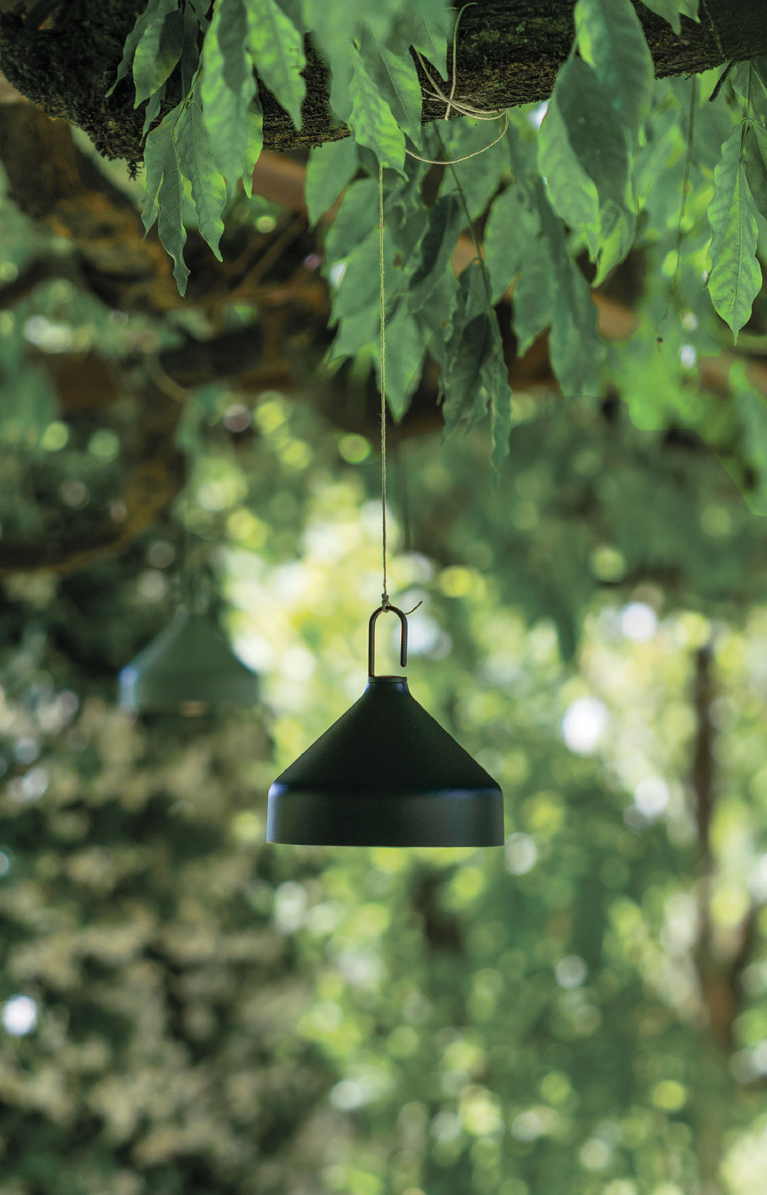 A black light led hanging from a tree