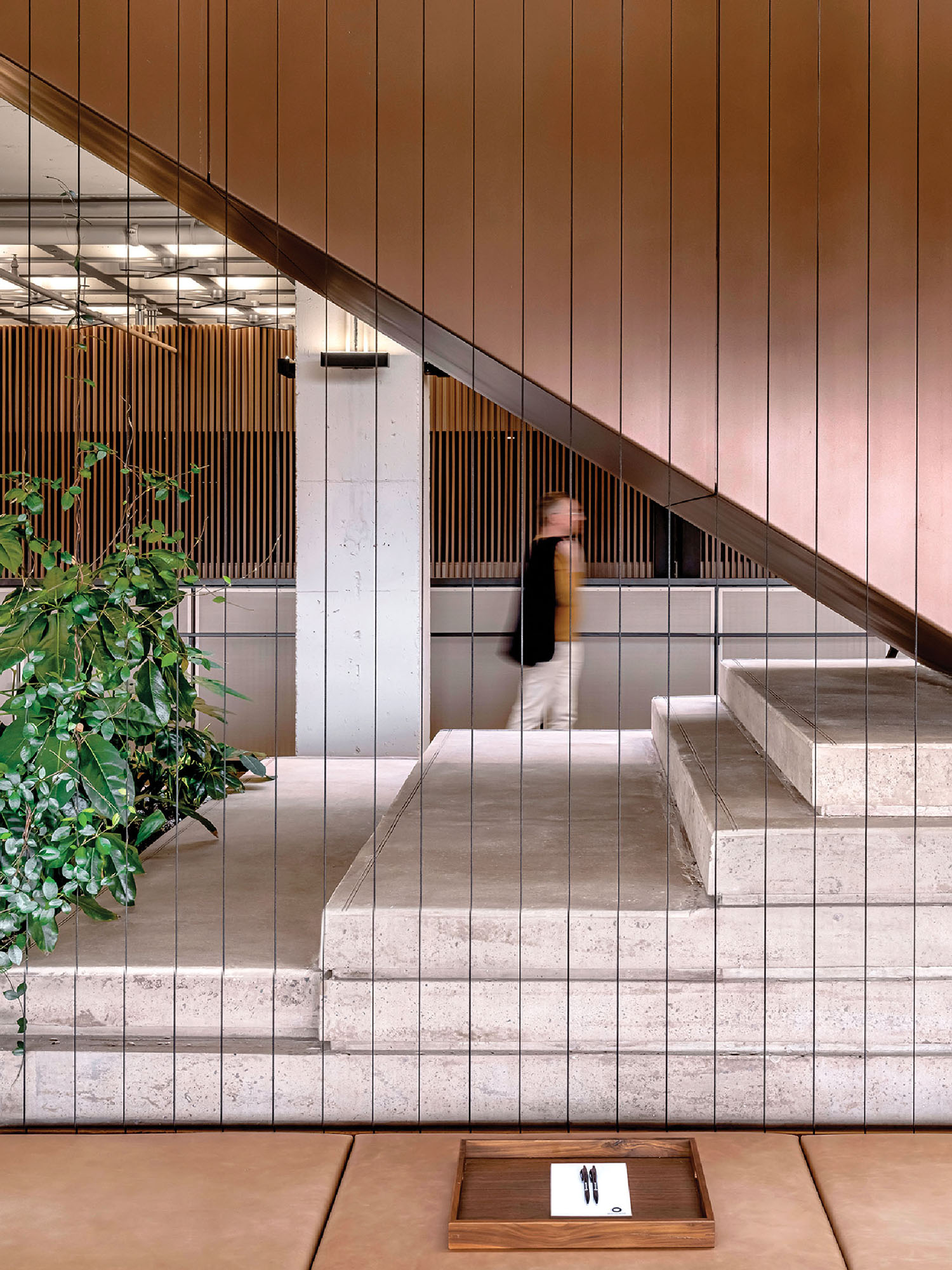 A staircase with a plant in the middle