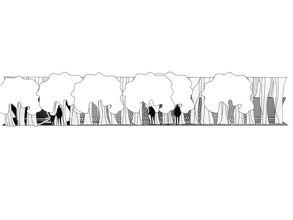 detailed sketch of trees in black