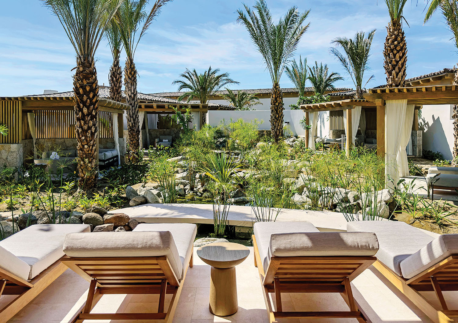 A patio with lounge chairs and palm trees