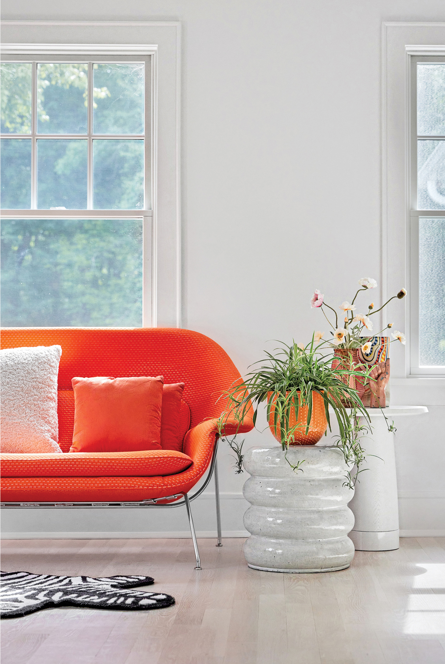 A living room with a couch and a plant.