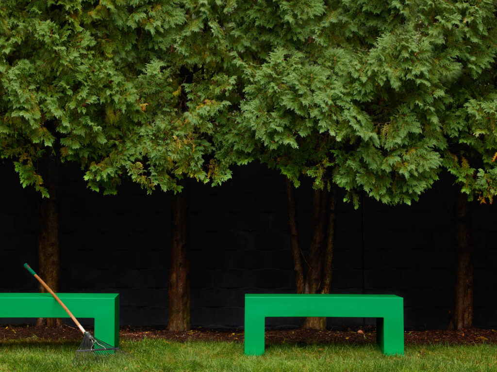 a bright green bench under a tree