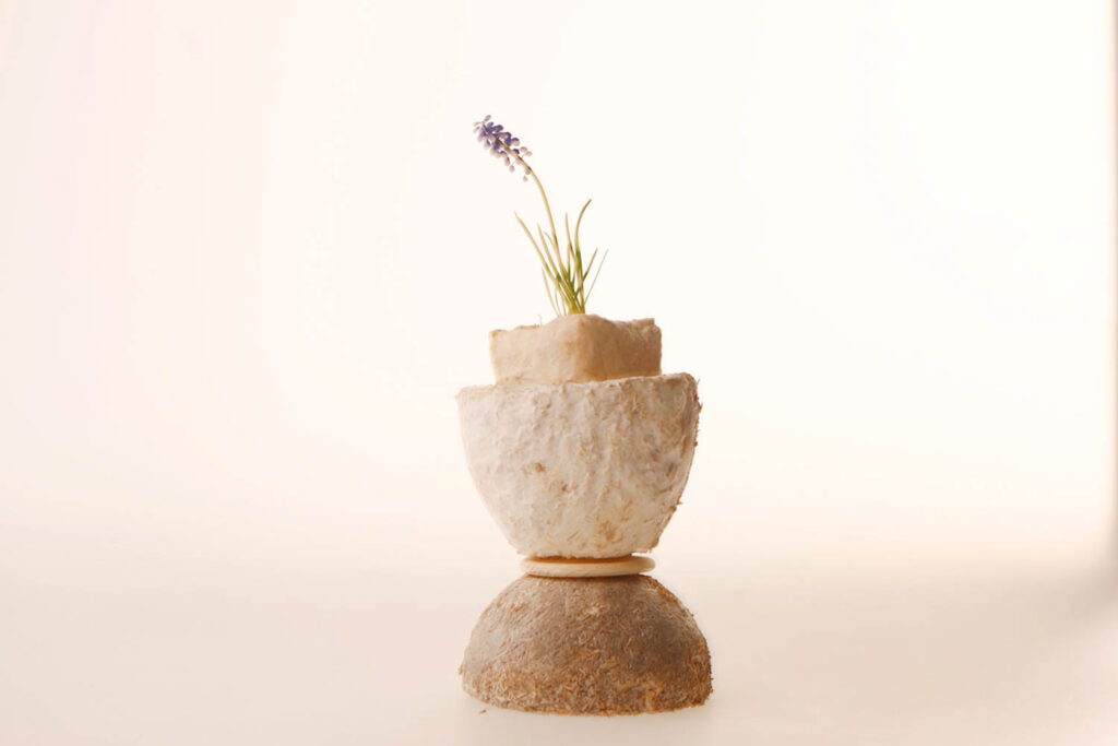 white table made of mushrooms