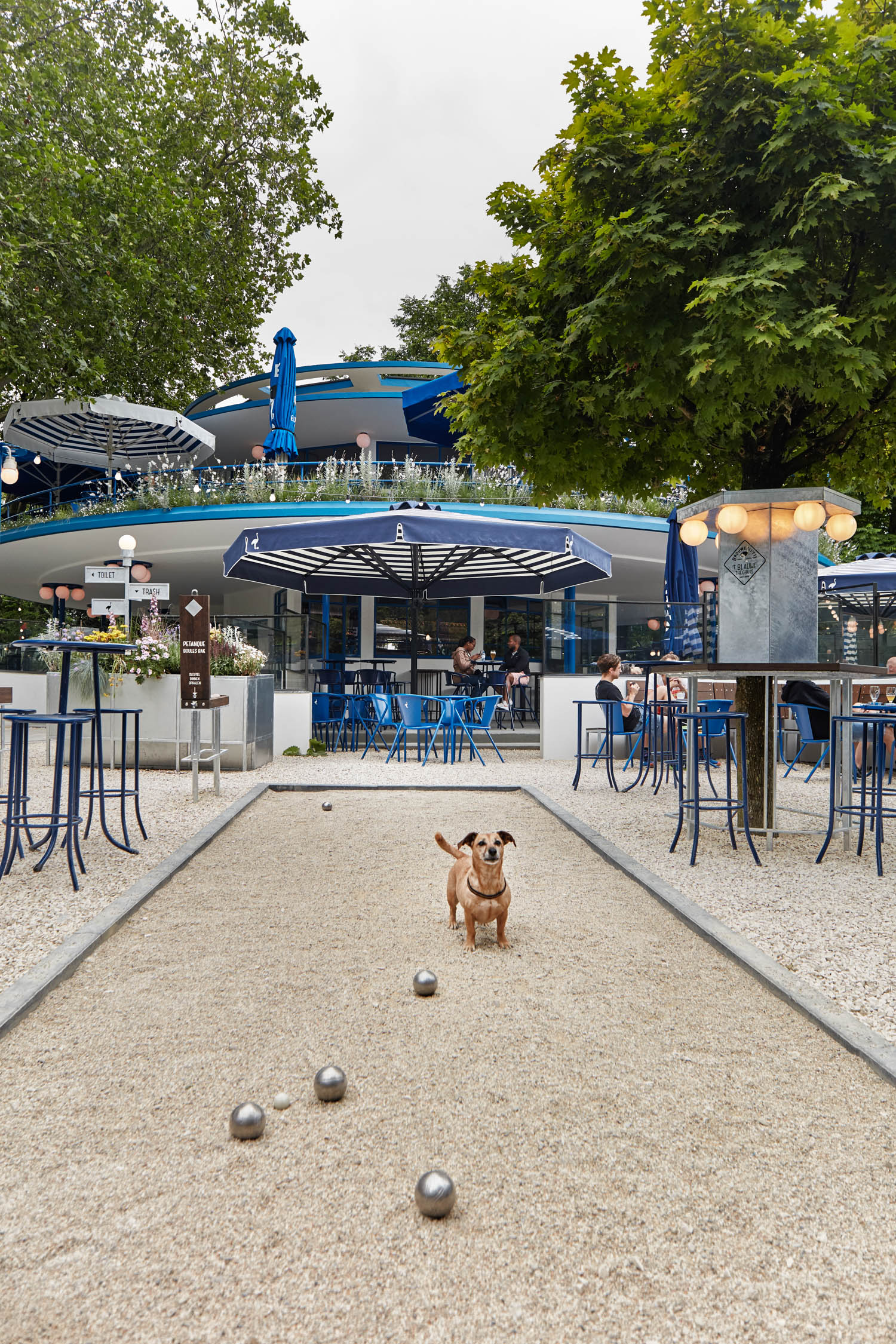 exterior facade of outdoor brew pub with a dog