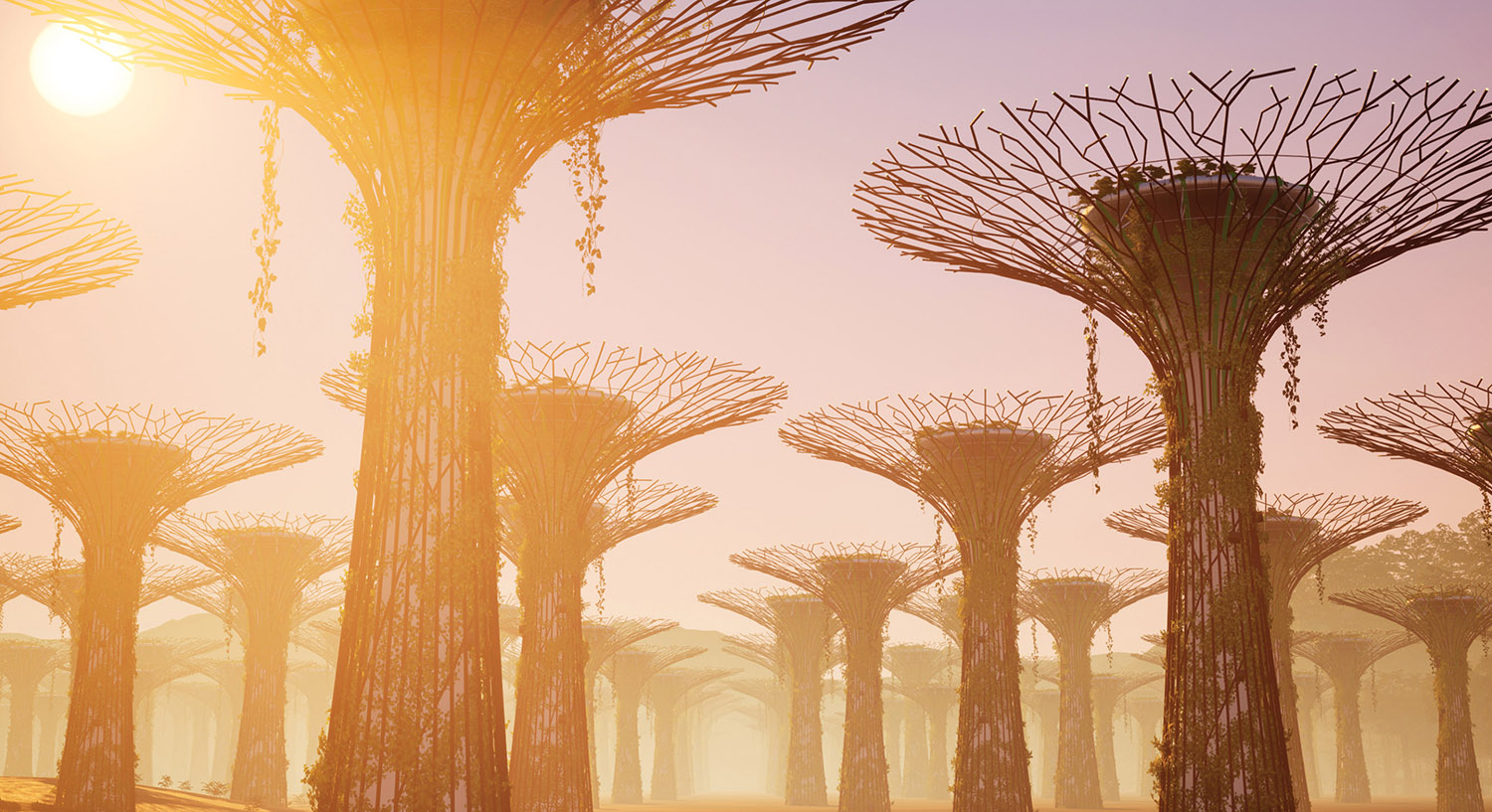A group of trees.