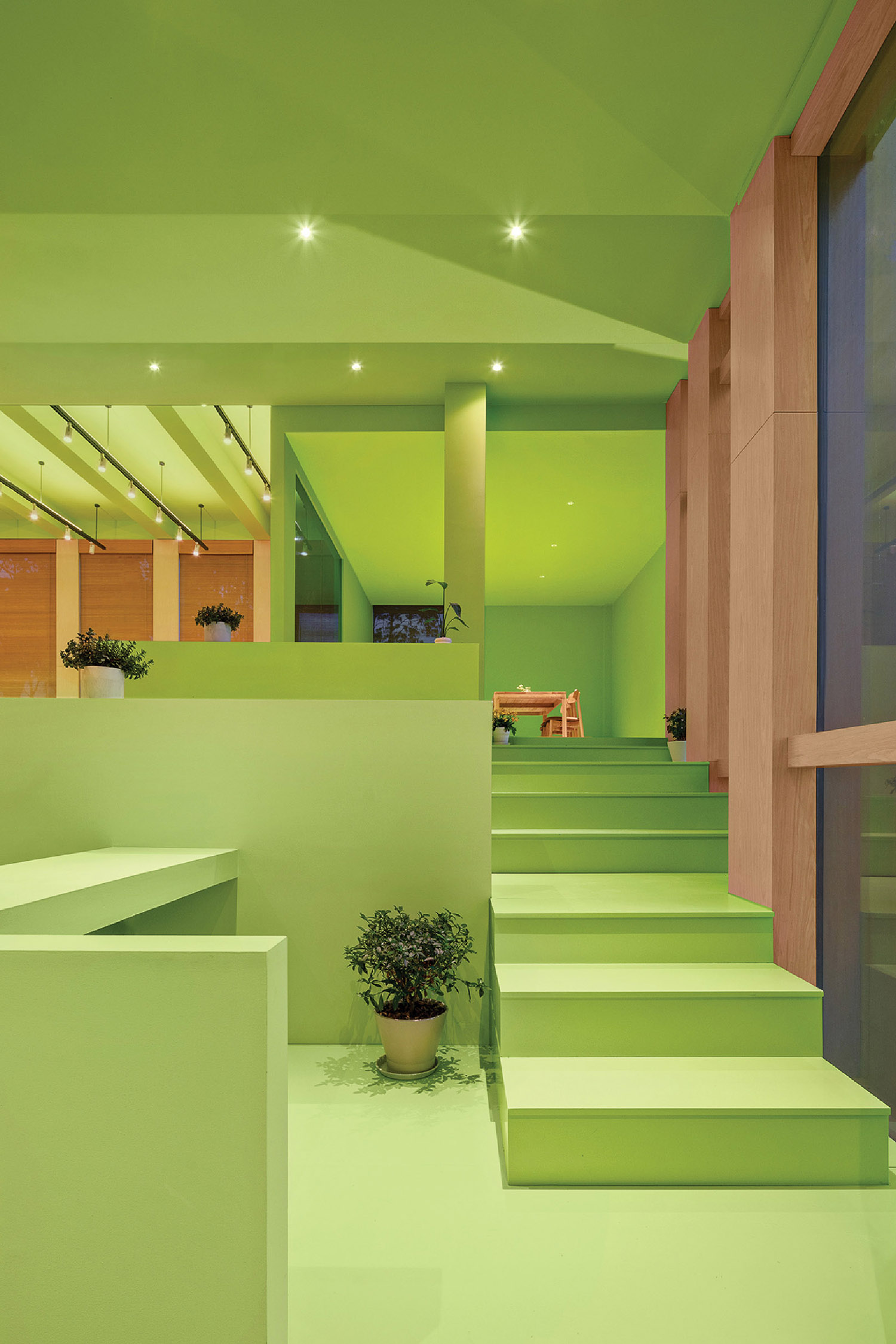 A green room with stairs and a plant.