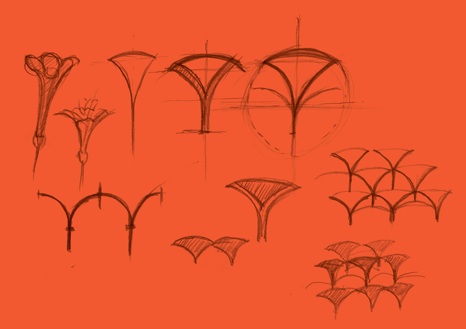 A bunch of birds flying in the air.