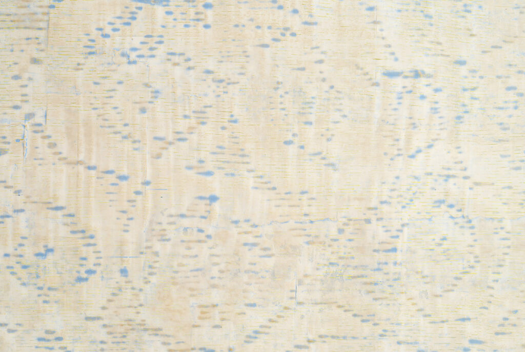 A painting with blue dots on a beige background.