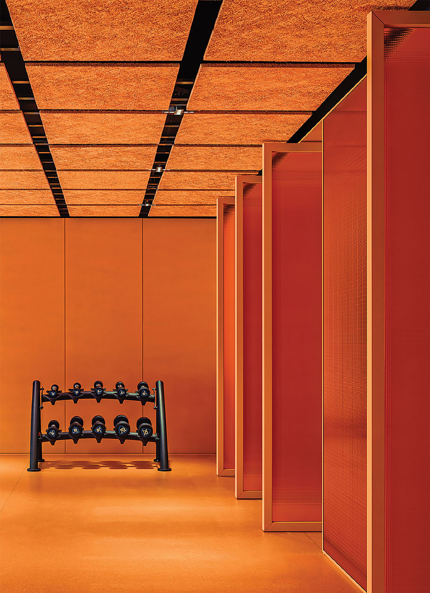 A gym with a row of exercise equipment.