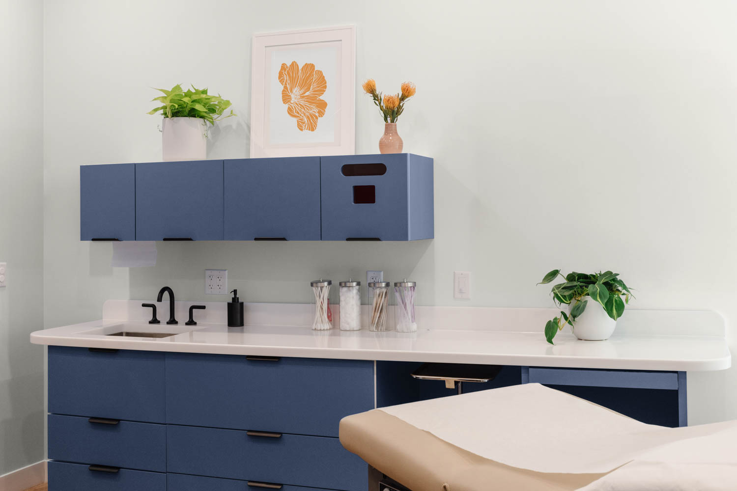 kitchen with dark blue cabinets and plants all around