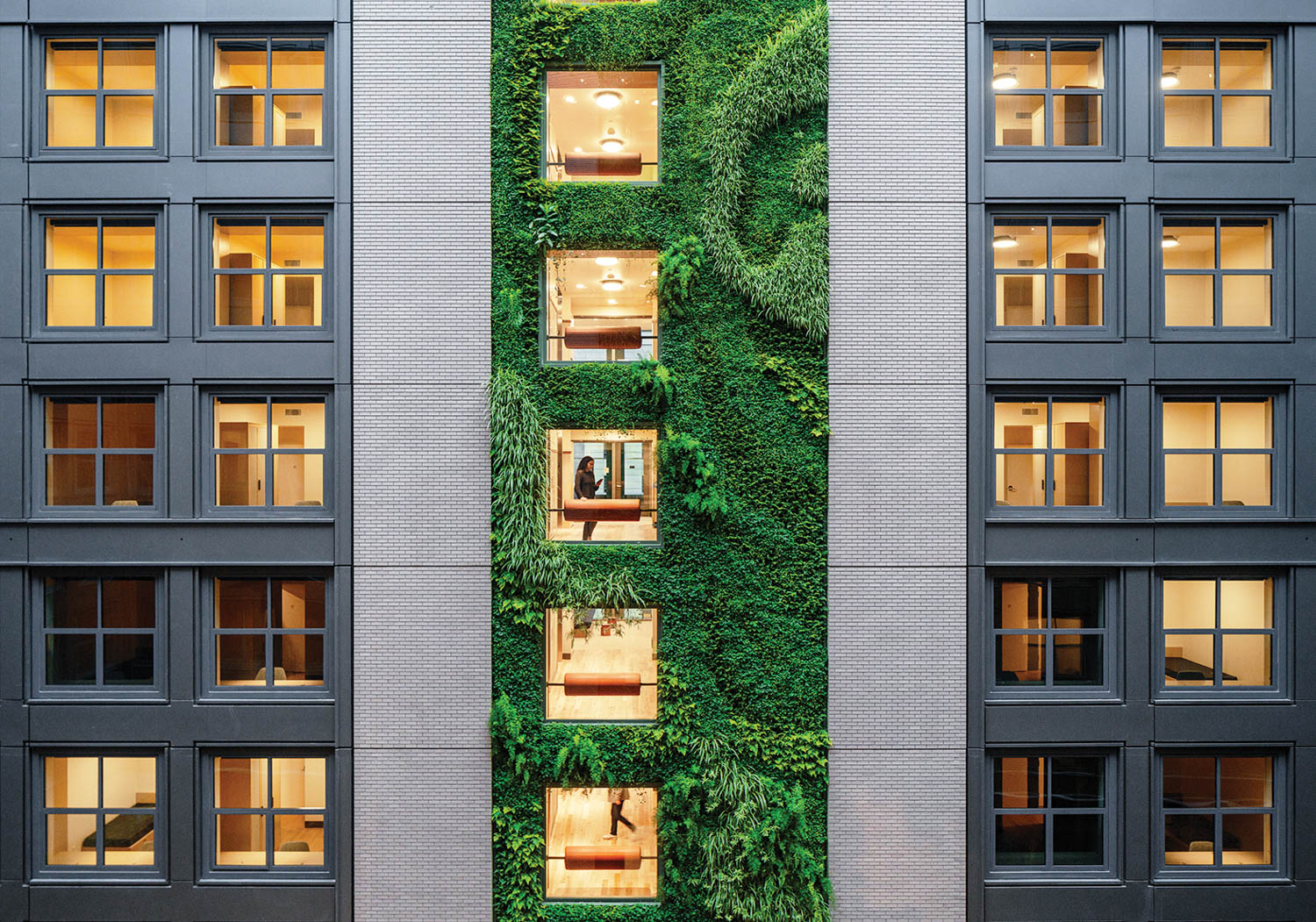 exterior facade of building with moss