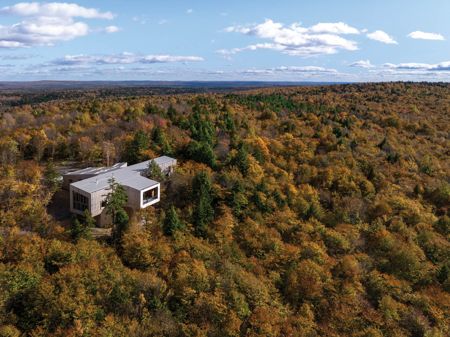 exterior facade of building inside a forest