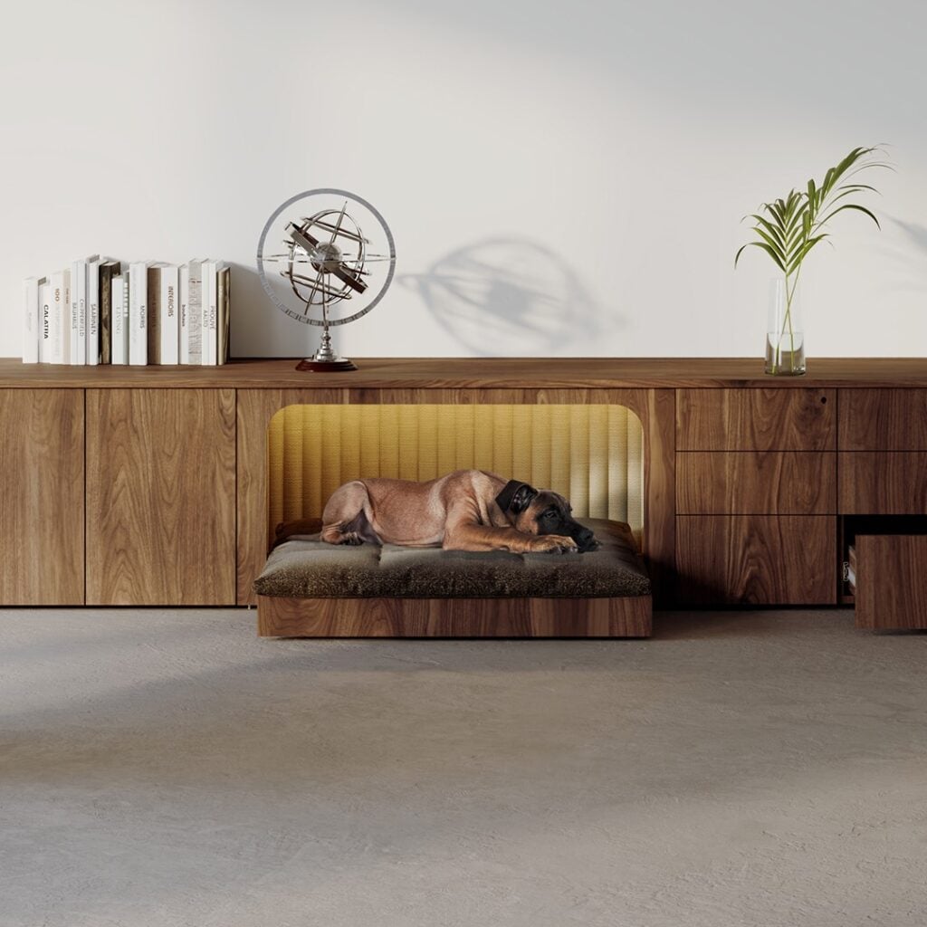 HiP Awards 2025 Central Bark for DARRAN for Workplace: Furniture